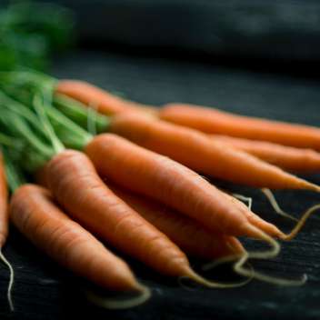 Косметика с морковью: почему ее стоит использовать