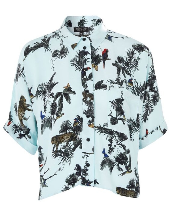 051017-tropical-pieces-slide-10
