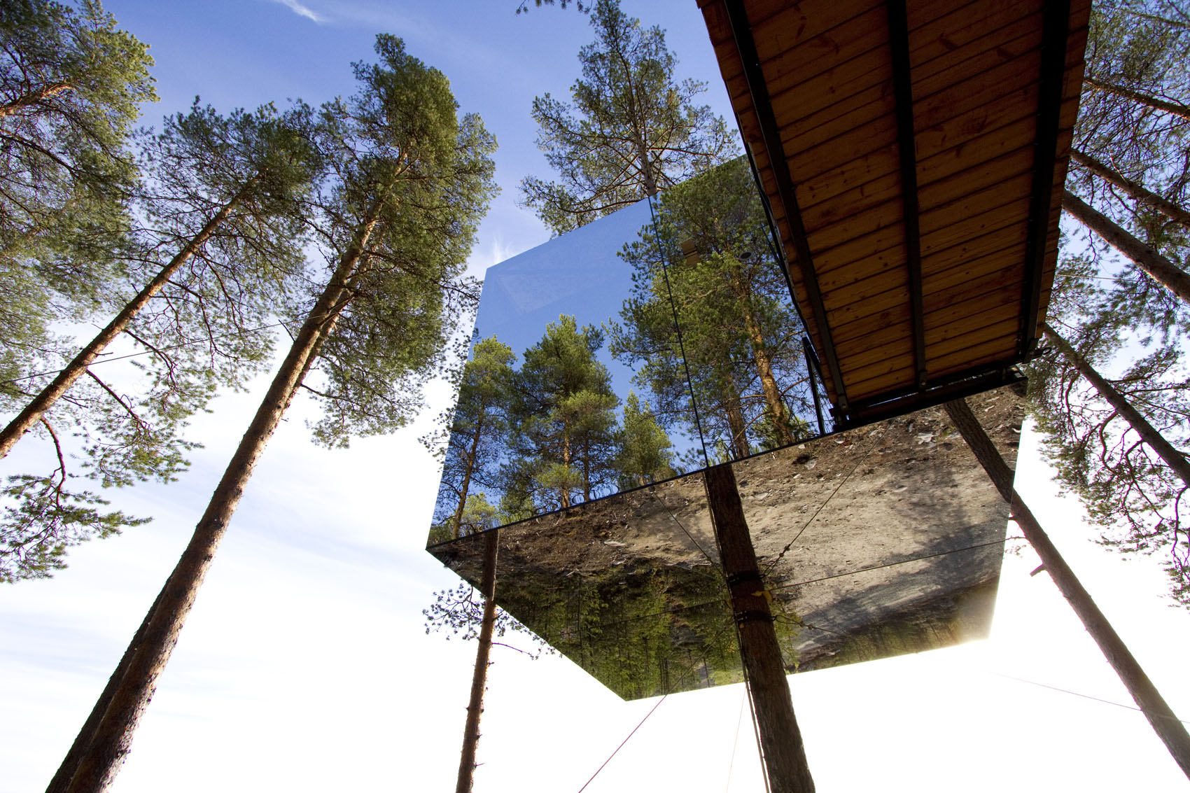 Отель Tree Hotel Швеция Харадс