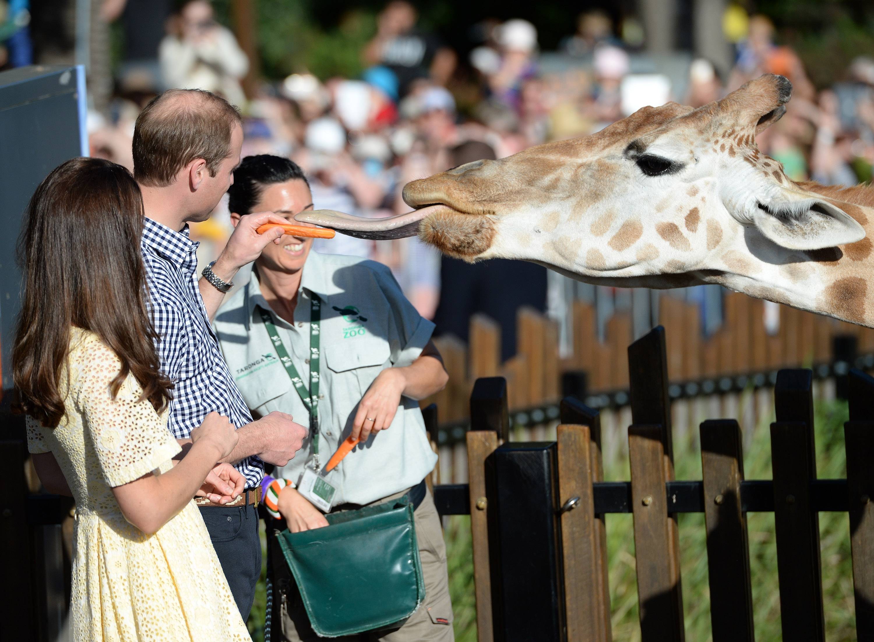 Royal zoo. Зоопарк Таронга в Сиднее.