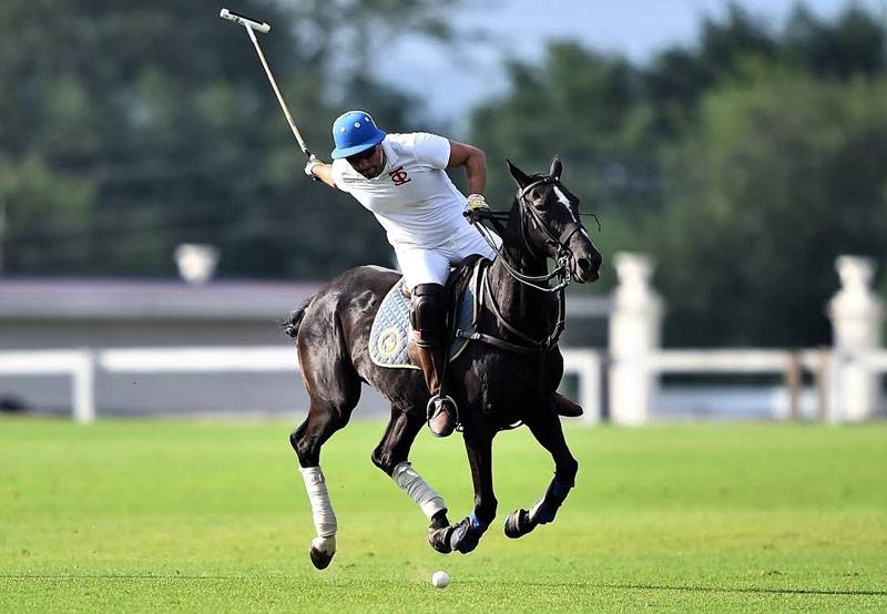 USPA Polo Horse Player Sport